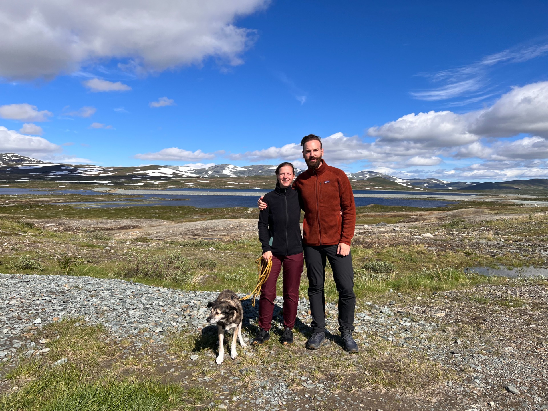 road trip europe with dog